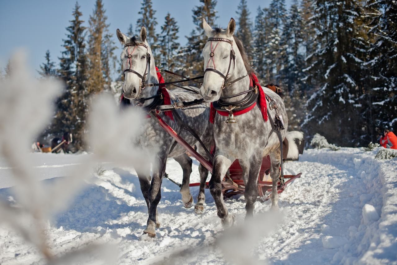 Отель Hotel Zawrat Ski Resort & SPA Бялка-Татшаньска